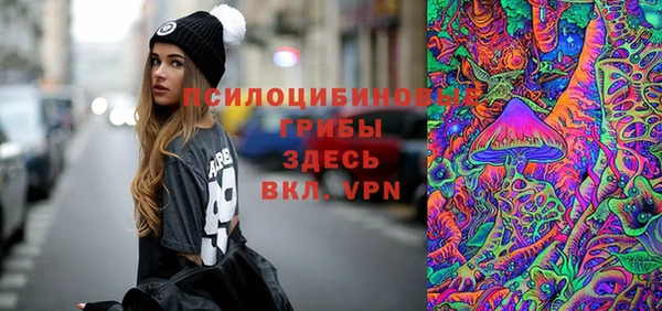 соль ск Россошь