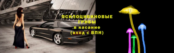 соль ск Россошь