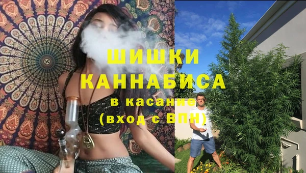 МДПВ Рославль